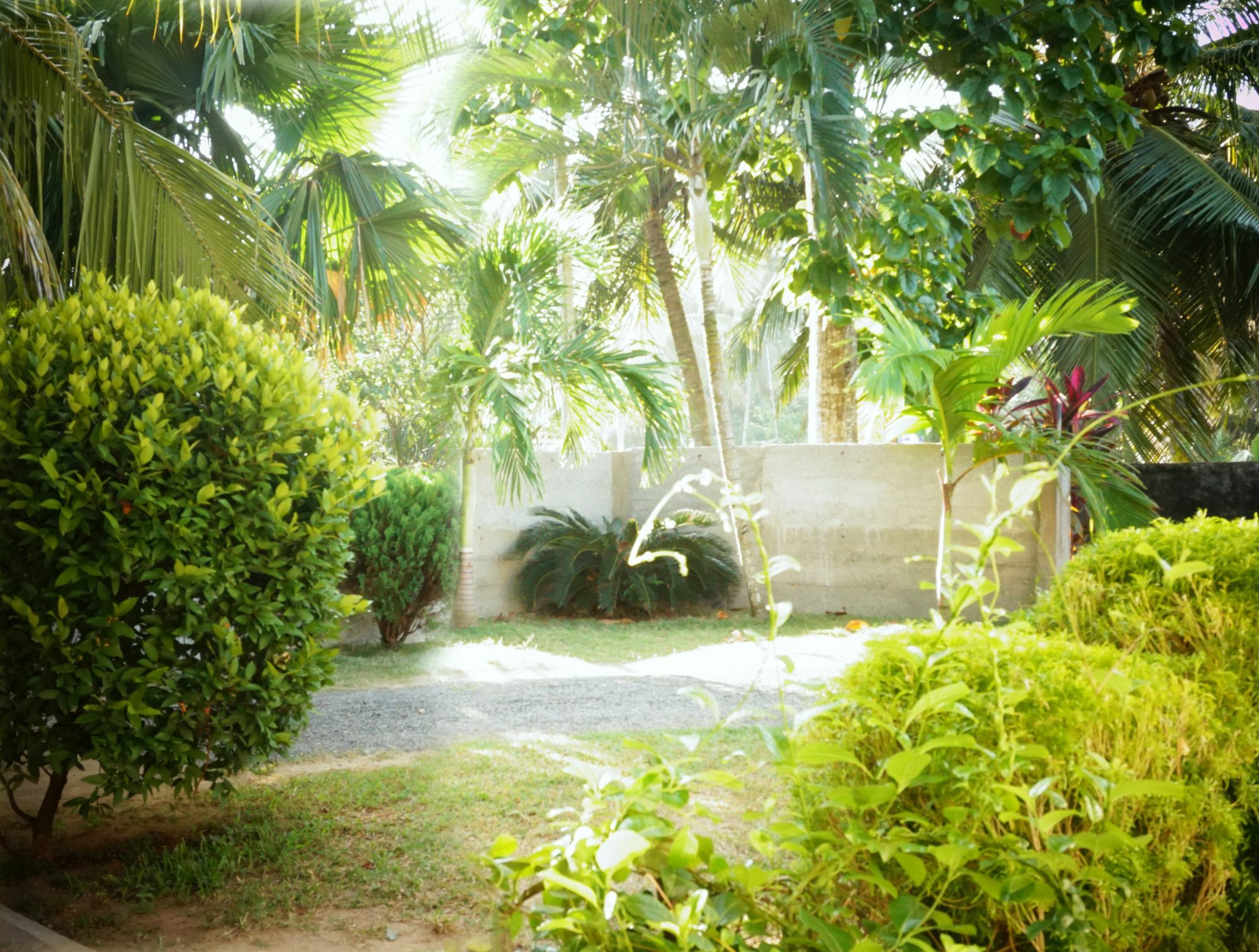 Liana Private Villa Near Tangalle Beach Екстериор снимка